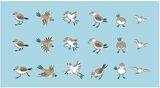 『百千鳥』のフォントに実際に挿入されている鳥たち