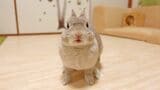 （写真提供：やすさん）