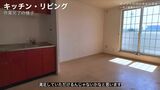 リビングもすっきりきれいな状態に（画像：「イーブイ片付けチャンネル」より）