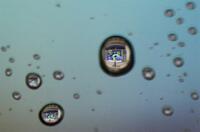 米政府機関閉鎖、金価格急落に警戒感 市場は不安と楽観が交錯