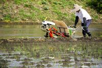 TPP対策､新生JA全中の弱腰に不満噴出 対応を誤れば､日本農業に甚大なダメージ