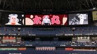 パ･リーグが｢大相撲と越境コラボ｣した納得の理由