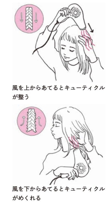 ドライヤー 高ければいい と信じる人の落とし穴 美容 フィットネス 東洋経済オンライン 社会をよくする経済ニュース