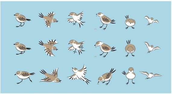 『百千鳥』のフォントに実際に挿入されている鳥たち