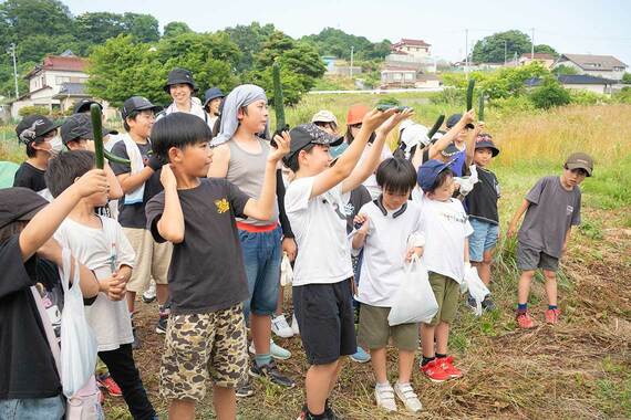 子どもたちがきゅうりなどを収穫して楽しむ様子