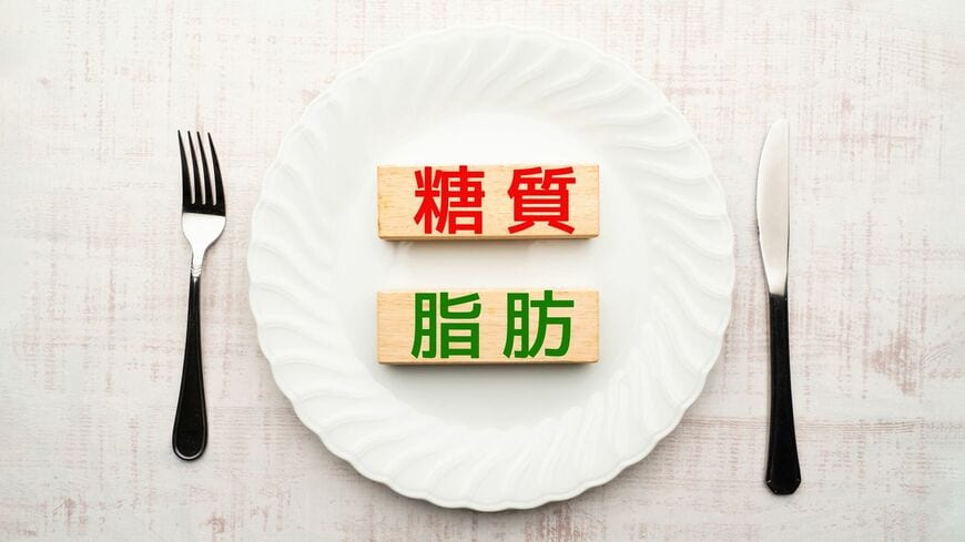 肝臓 脂肪肝