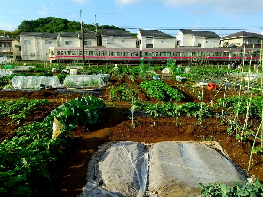 開業時は玉南電鉄の区間だった百草園付近を走る京王線の電車。田園風景や山は変わらない（撮影：南正時）