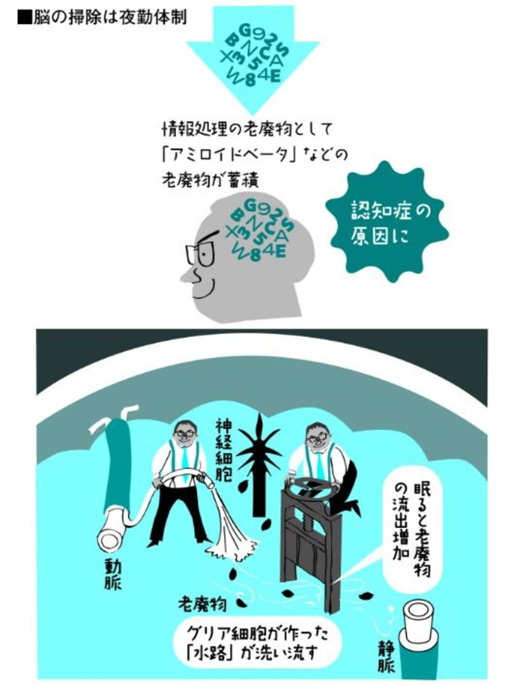 最強の睡眠 のためのシンプルな3つの極意 健康 東洋経済オンライン 経済ニュースの新基準