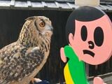 （写真提供：ゲンさん）