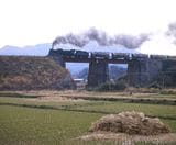 日田彦山線を走る貨物列車（撮影：南正時）