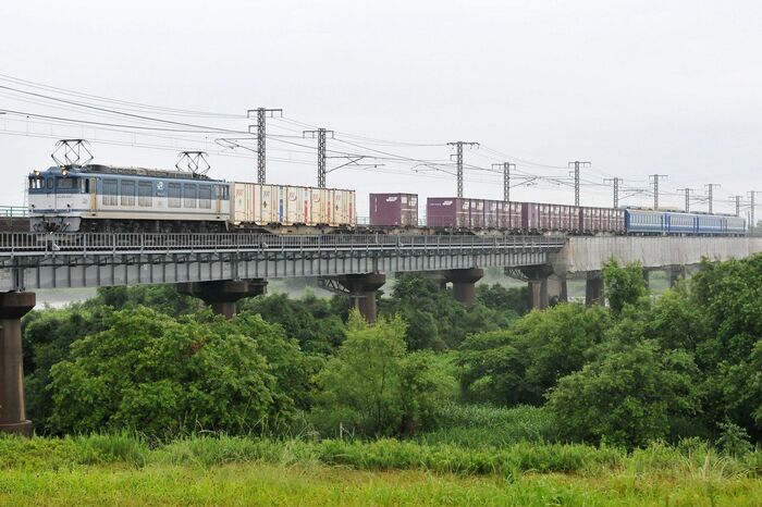 JR各社のほか第三セクターなどに譲渡された。写真は