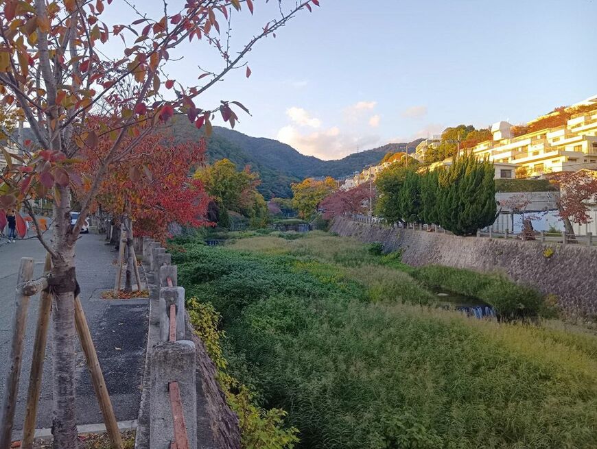 芦屋川の上流（筆者撮影）