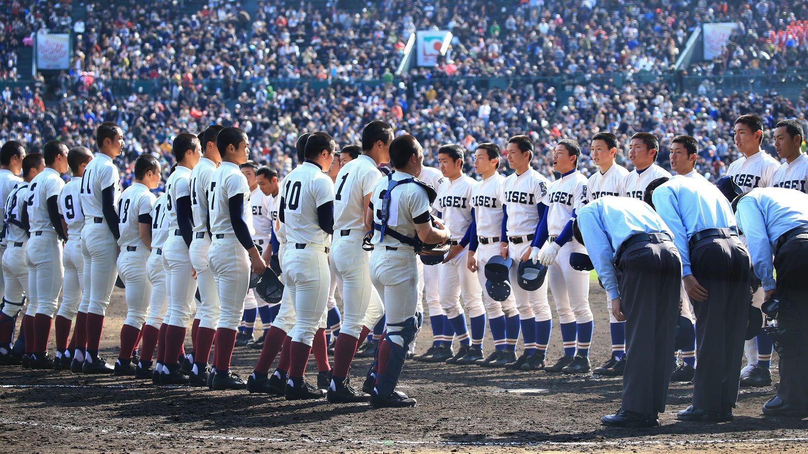 センバツ 夏とは違う甲子園 を目指した96年 日本野球の今そこにある危機 東洋経済オンライン 社会をよくする経済ニュース