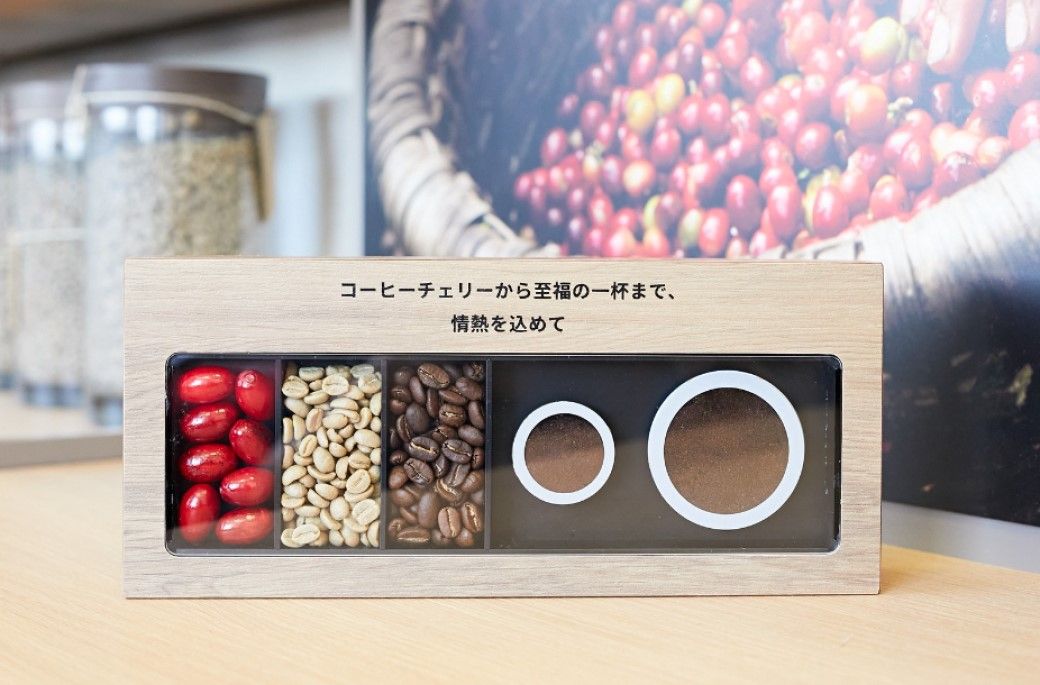 左からコーヒーチェリー、生豆、焙煎した豆、挽いたコーヒー粉