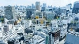 （撮影：今井康一）