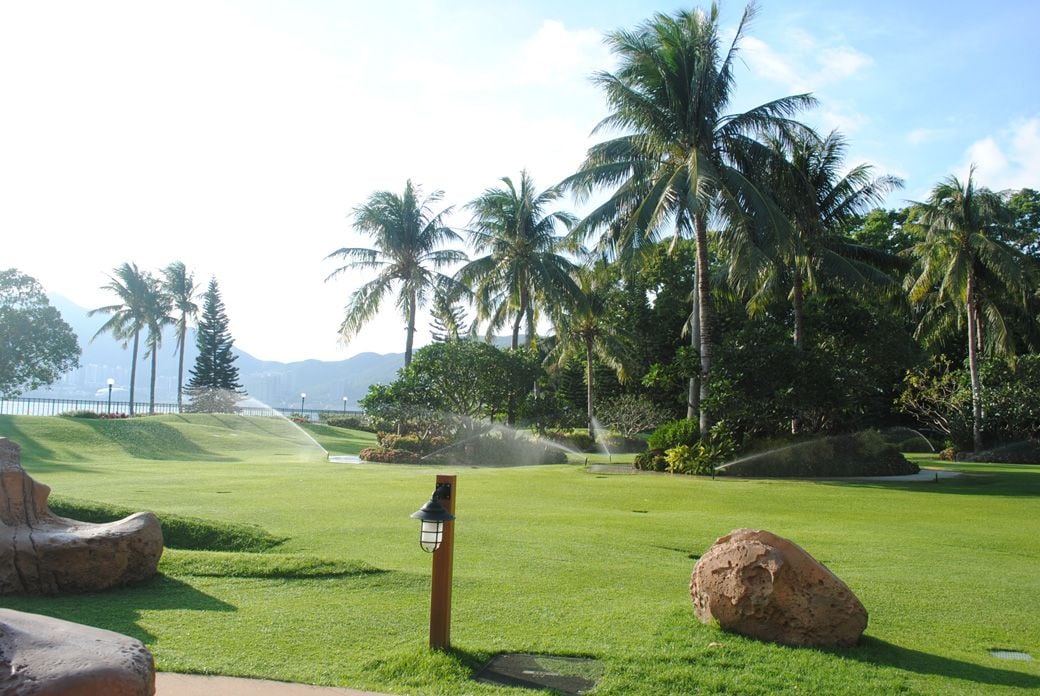 オセアニア棟の前のリトル・スクワート・ガーデン