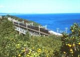 ミカン畑から俯瞰した、根府川鉄橋を渡るEF58形牽引の荷物列車（撮影：南正時）