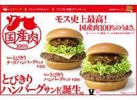 これがモスバーガーの生きる道! /思わず行きたくなる遊園地 /バイオタイプP 《それゆけ!カナモリさん》