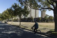 中国の不動産危機が招く鉄鉱石価格急落の恐怖 年前半の供給不足から一転大幅な供給過剰へ