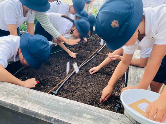 大根の種まきも行う子どもたち