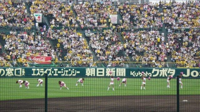 阪神にも遂に専属チア誕生