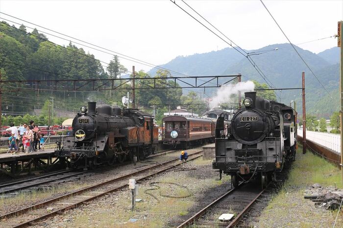 大井川鐵道は毎日SL列車を運行している