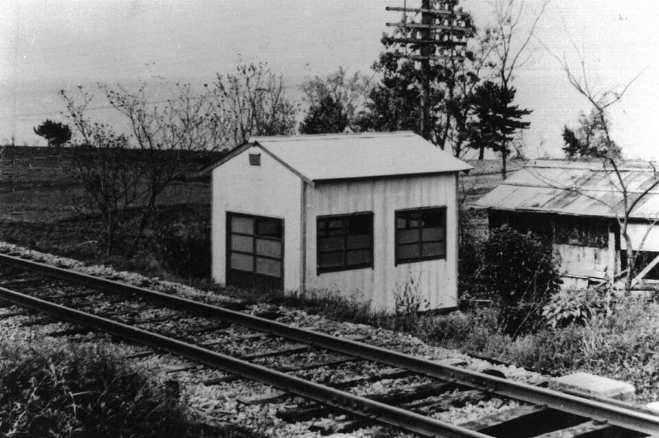 大和ハウス工業の60年 鉄骨戸建住宅商品「xevoΣ PREMIUM SMILE Edition」木造戸建住宅