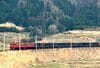 板谷峠を走るEF71形重連の貨物列車