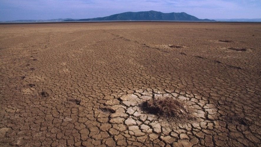 世界各地で「水リスク」が大きな問題になっている（写真はチュニジア・イシュケル国立公園。干ばつにより、乾燥・湖の縮小が起きている（c）Michel Gunther/WWF）