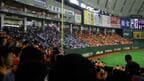 ヤクルト戦の際の外野ビジター席