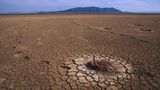 世界各地で「水リスク」が大きな問題になっている（写真はチュニジア・イシュケル国立公園。干ばつにより、乾燥・湖の縮小が起きている（c）Michel Gunther/WWF）