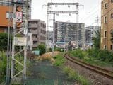 線路は草に埋もれていてローカル線の雰囲気だが周囲はマンションが林立している（編集部撮影）