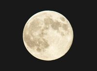 人を活かすも殺すも“視線”次第