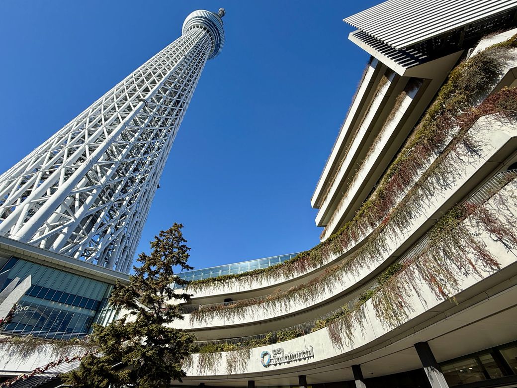 この景色を見て「東京に来た」と感じた。ひと昔前であれば、この場所でそんな感情を抱くことはなかっただろう（筆者撮影）