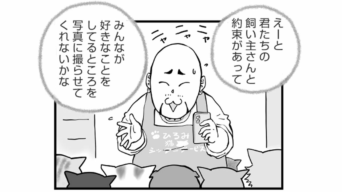 預かった｢7匹の猫｣に翻弄される男の"幸福な一日" | ひろみ猫シッターサービス | 東洋経済オンライン