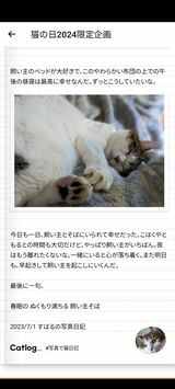 猫の日を記念し展開中の「写真で猫日記」。愛猫の写真を5枚アップロードすると、猫が書いたかのような日記を作成してくれる。2月末まで （画像：RABO）