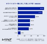 （画像：レバレジーズ「ブルーカラー職への転職実態調査」プレスリリース）