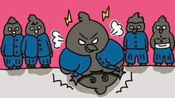 "カラスの裁判"どころか…｢アンタ､どこ中？｣ヤンキーさながらのカラスの喧嘩､集団でフルボッコにする衝撃の結末