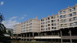 団地の中に"巨大な人工池"をつくる…横浜にある築55年の《竹山団地》あまりにフシギすぎる成り立ちに迫った