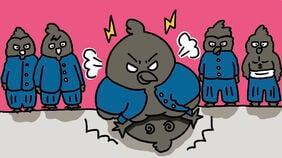 "カラスの裁判"どころか…｢アンタ､どこ中？｣ヤンキーさながらのカラスの喧嘩､集団でフルボッコにする衝撃の結末