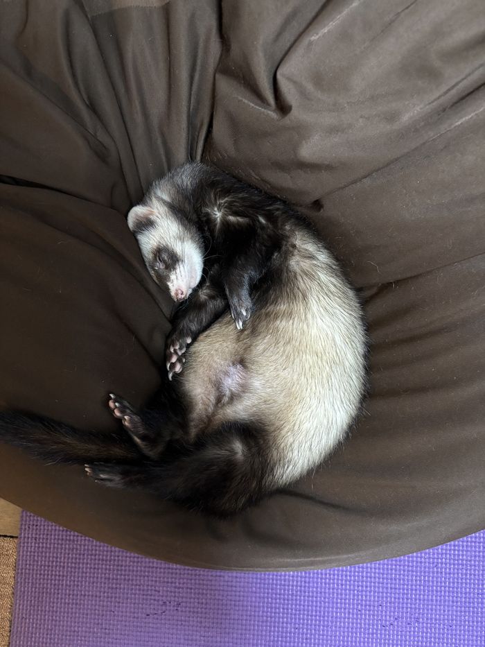 （写真提供：ミキさん）