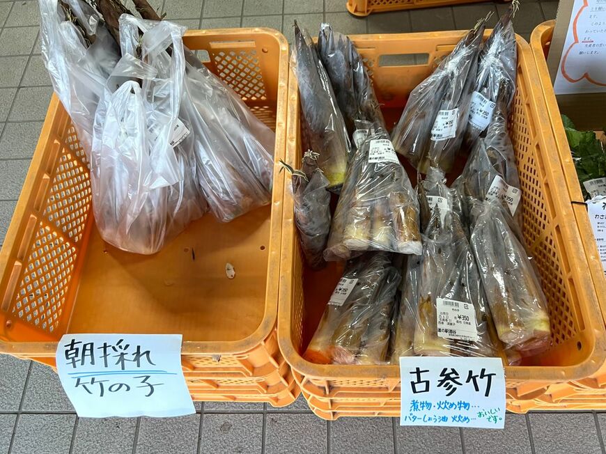 朝採れたけのこに古参竹も並ぶ（筆者撮影）