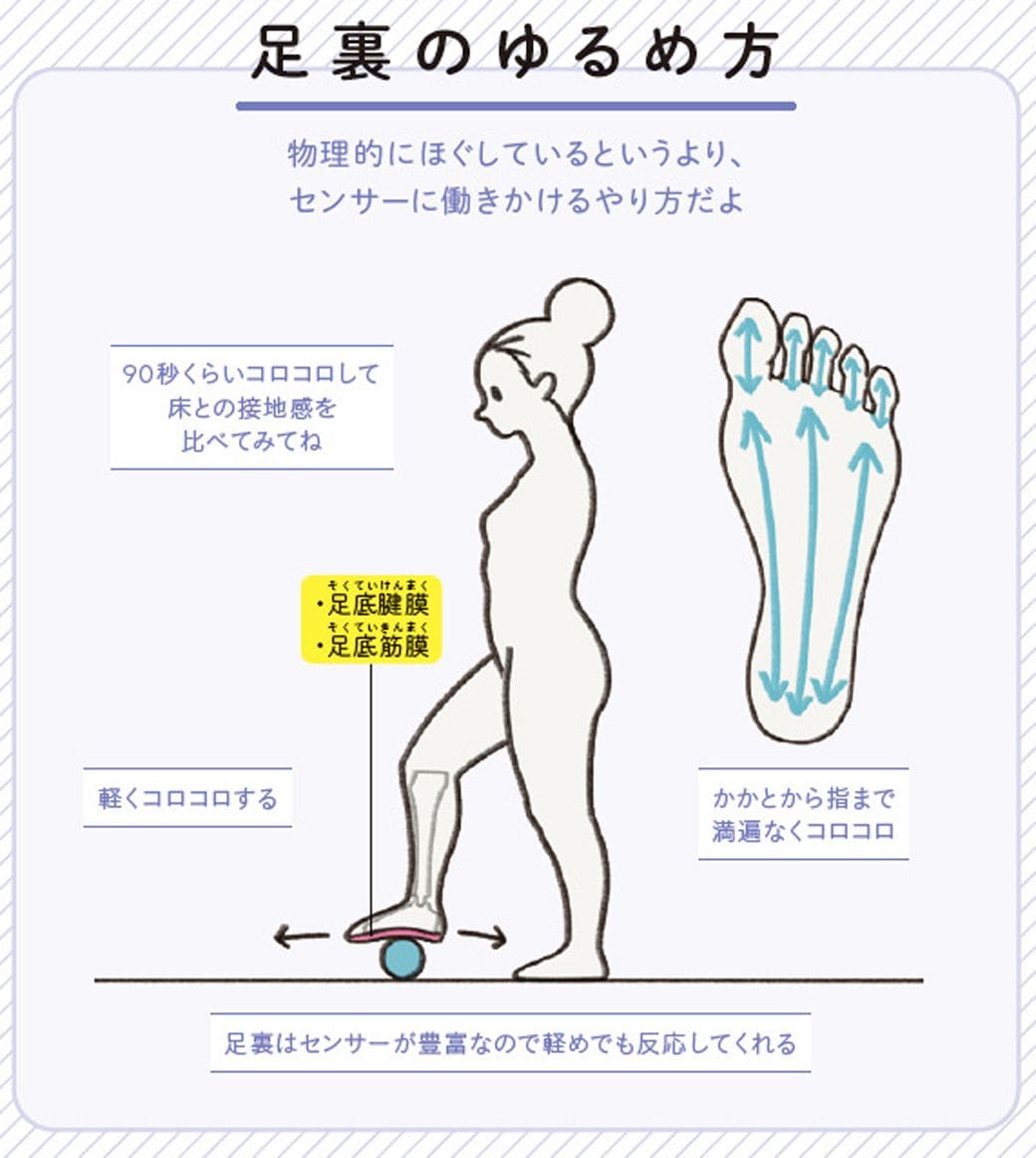 （画像：『世界一わかりやすい 筋肉のつながり図鑑セルフケア編』より）