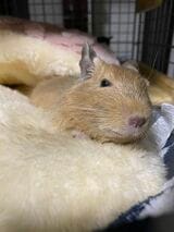 （写真：みきさん）