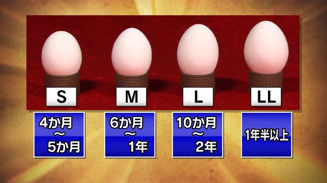S M L サイズ違いの卵に潜む衝撃の真実 食品 東洋経済オンライン 社会をよくする経済ニュース