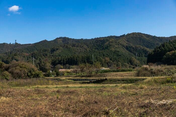 写真のあたりにも貨物線が通っていたと思われるが