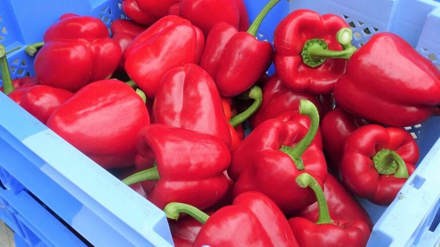 スマートアグリカルチャー磐田