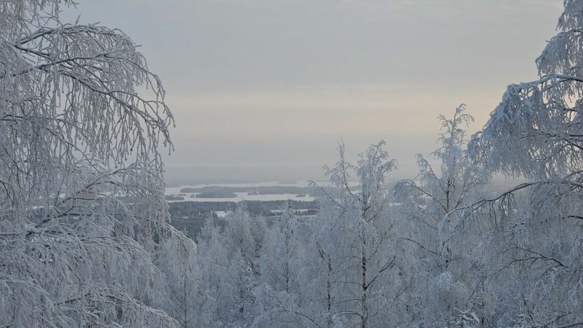 冬場は、太陽光は少ないが純白の樹氷が美しい