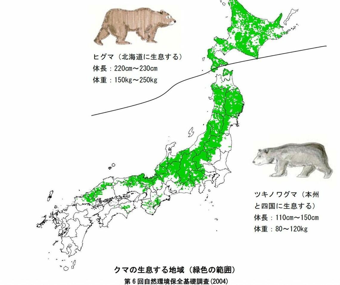 第6回自然環境保全基礎調査（2004）