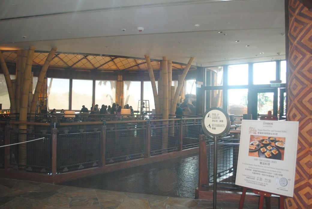 ドリーマーズ・ルックアウト